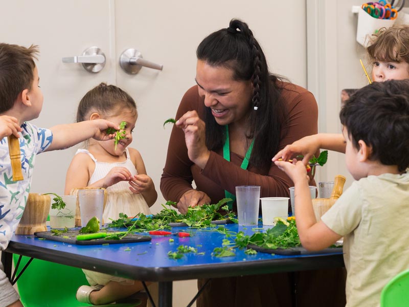 A candid photo of a female ECE teacher sitting with 4 preschool students around a table, working with freshly picked parsley.