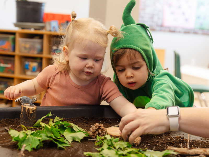 Two toddlers interacting with a sensory table with leaves, pine cones, and dry soil. A teachers arm can be seen entering from the right side interacting with the table. 